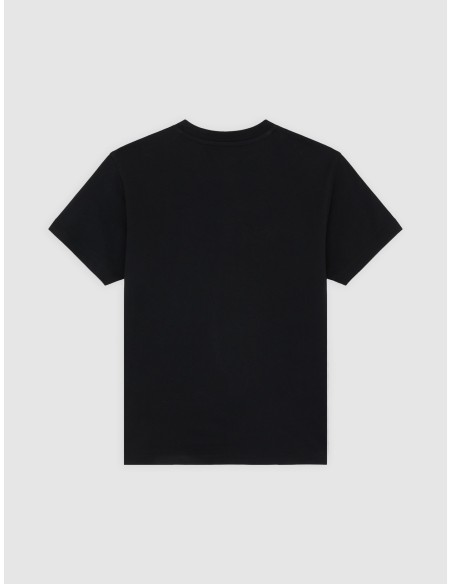 Dickies Top Williston Tee SS W Black - DK0A87Q5BLK1