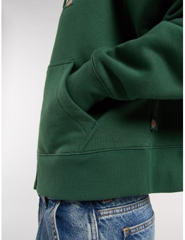 Dickies Hoodie Oakport Zip Pine...