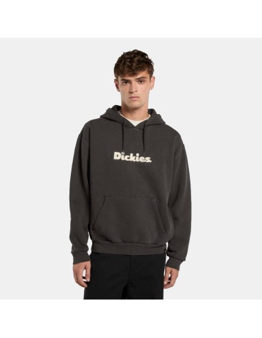 Dickies Hoodie Slayden Gd Black - DK0A87NPBLK1