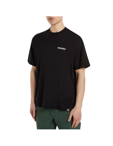 Dickies T-Shirt Burns Black - DK0A87QIBLK1