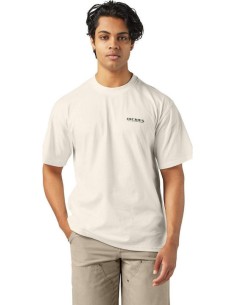 Dickies Burns T-Shirt Egret... 2