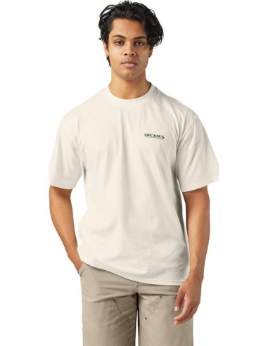 Dickies Burns T-Shirt Egret -...