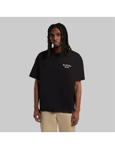 Dickies T-Shirt Sneedville Black - DK0A87QOBLK1