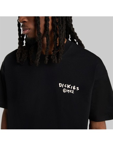 Dickies T-Shirt Sneedville Black -...