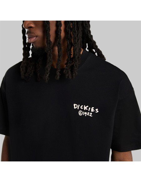 Dickies T-Shirt Sneedville Black - DK0A87QOBLK1