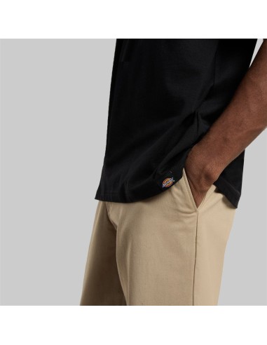 Dickies T-Shirt Sneedville Black -...