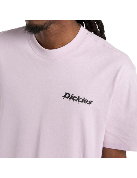 Dickies T-Shirt M Statesville Winsome Orchid - DK0A87QPK731