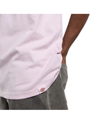 Dickies T-Shirt M Statesville Winsome...