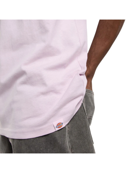 Dickies T-Shirt M Statesville Winsome Orchid - DK0A87QPK731