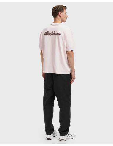 DICKIES T-Shirts SLAYDEN GD TEE SS - DK0A87QRK731
