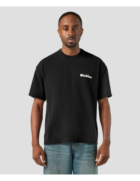 Dickies T-Shirt Slayden Black - DK0A87QRBLK