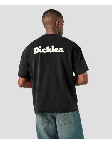 Dickies T-Shirt Slayden Black -...