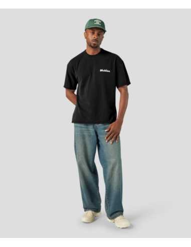 Dickies T-Shirt Slayden Black -...