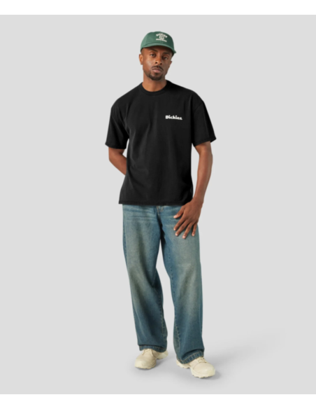 Dickies T-Shirt Slayden Black - DK0A87QRBLK