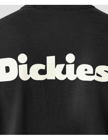 Dickies T-Shirt Slayden Black -...
