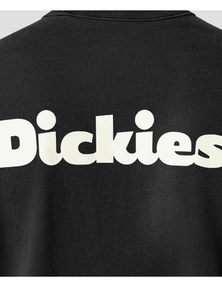 Dickies T-Shirt Slayden Black - DK0A87QRBLK