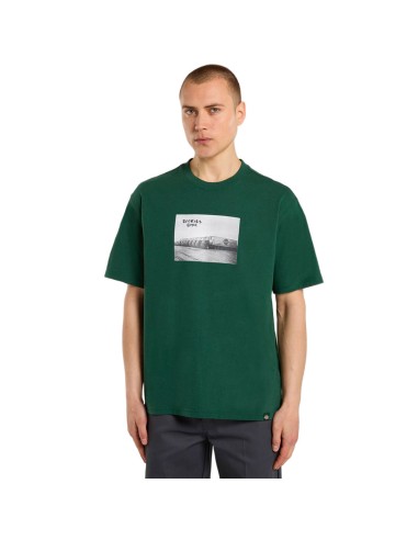 Dickies T-Shirt Sevier Midweight Prezzo - DK0A87YMPIN1