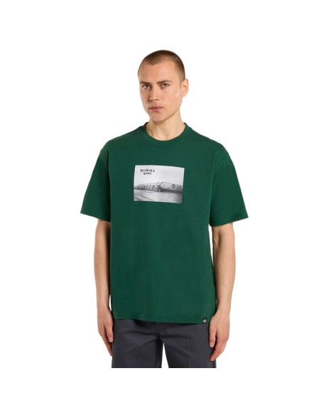 Dickies T-Shirt Sevier Midweight Prezzo - DK0A87YMPIN1