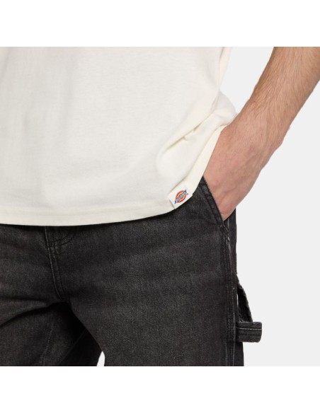 Dickies T-Shirt Gordonsville Egret - DK0A87QUC481