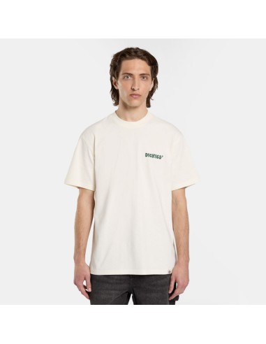 Dickies T-Shirt Gordonsville Egret - DK0A87QUC481