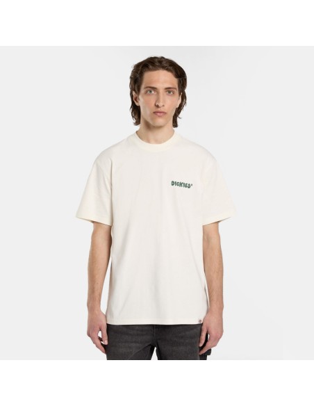 Dickies T-Shirt Gordonsville Egret - DK0A87QUC481