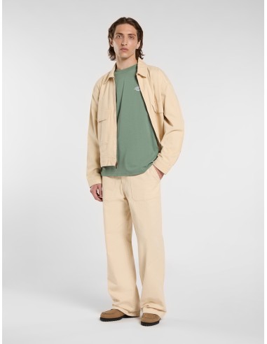 Dickies T-Shirt M Summerdale Sea...