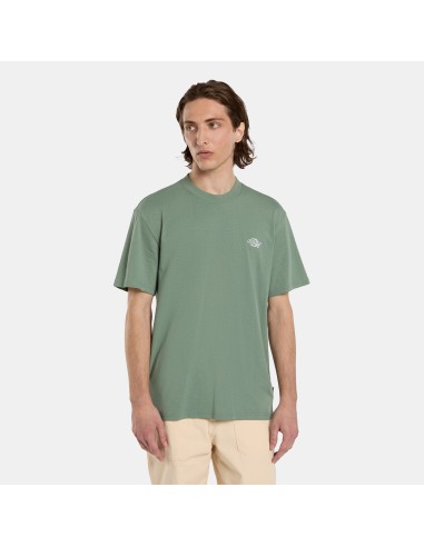 Dickies T-Shirt Summerdale Sea Spray - DK0A4YAIL191