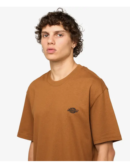 Dickies T-Shirt M Summerdale Brown Duck - DK0A4YAI0BD
