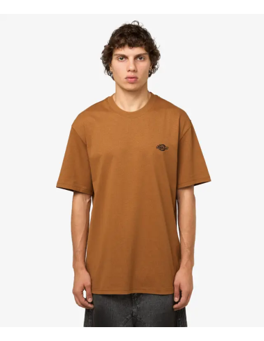 Dickies T-Shirt M Summerdale Brown...