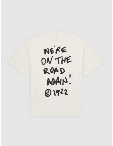 Dickies T-Shirt Sneedville T-Shirt - DK0A87QOC481