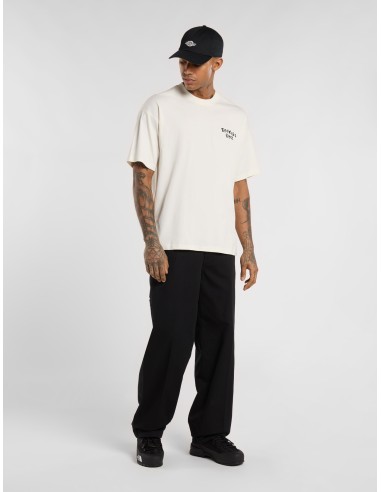 Dickies T-Shirt M Sneedville T-Shirt...