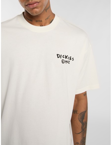 Dickies T-Shirt M Sneedville T-Shirt - DK0A87QOC481