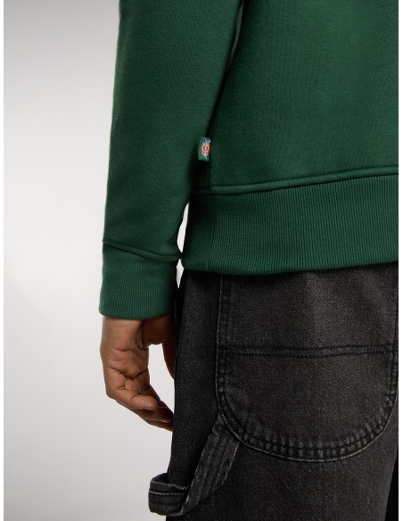 Dickies Quarter Oakport Zip Pine Needle Green - DK0A4XD4PIN1