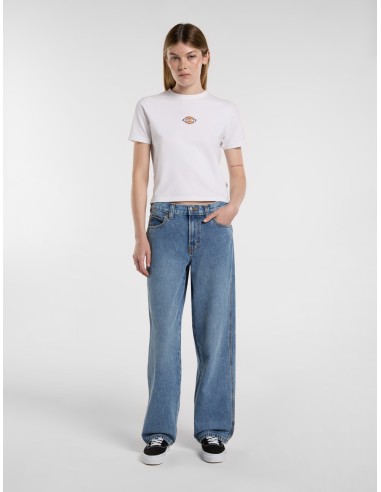 DICKIES Denim Pants W Farner Rinsed Fade - DK0A87NNK211