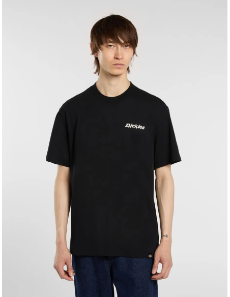 Dickies T-Shirt M Statesville Black - DK0A87QPBLK1