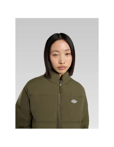 Dickies Puffer Jacket W Summerdale...