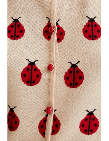 copy of Compania Fantastica Terrazzo...