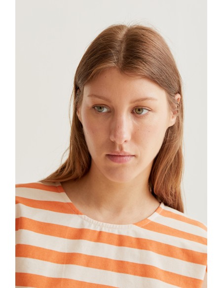 copy of Compania Fantastica