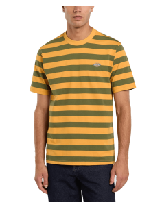 Dickies RIVERGROVE SS TEE...