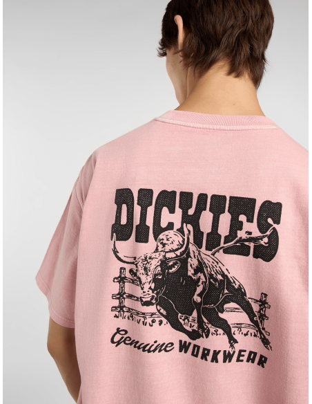 Dickies BUCHTELL SS TEE BRIDAL ROSE - DK0A883BL471