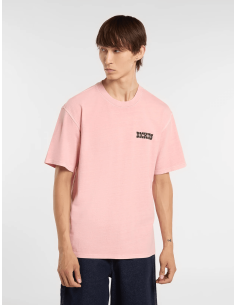 Dickies BUCHTELL SS TEE...
