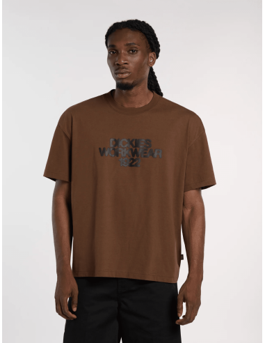 Dickies TORREY SS TEE TIMBER BROWN -...