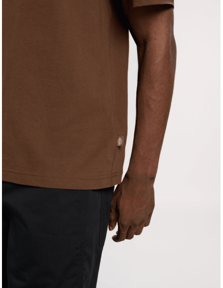 Dickies TORREY SS TEE TIMBER BROWN - DK0A88890TB1