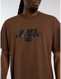Dickies TORREY SS TEE... 2