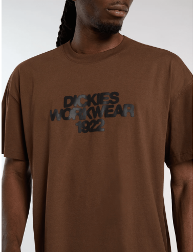 Dickies TORREY SS TEE TIMBER BROWN -...