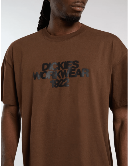 Dickies TORREY SS TEE TIMBER BROWN - DK0A88890TB1