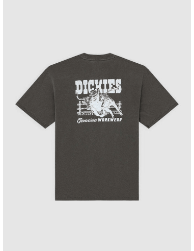 Dickies BUCHTELL SS TEE BLACK -...