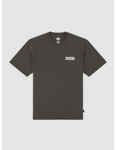 Dickies BUCHTELL SS TEE BLACK -...