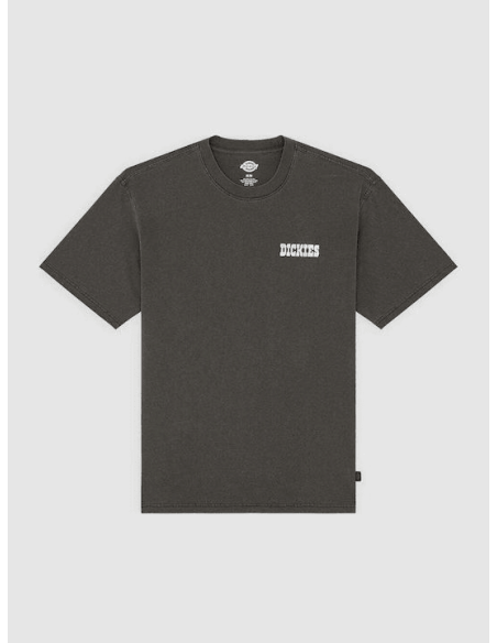 Dickies BUCHTELL SS TEE BLACK - DK0A883BBLK1