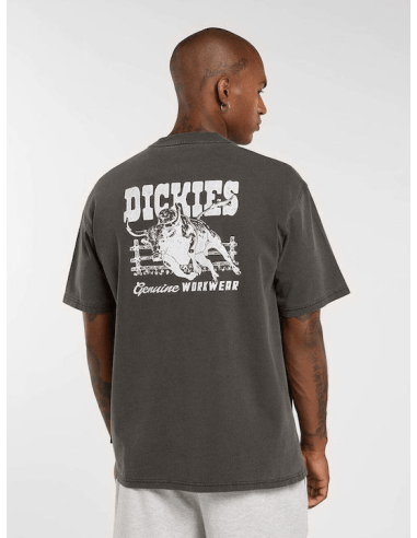 Dickies BUCHTELL SS TEE BLACK -...